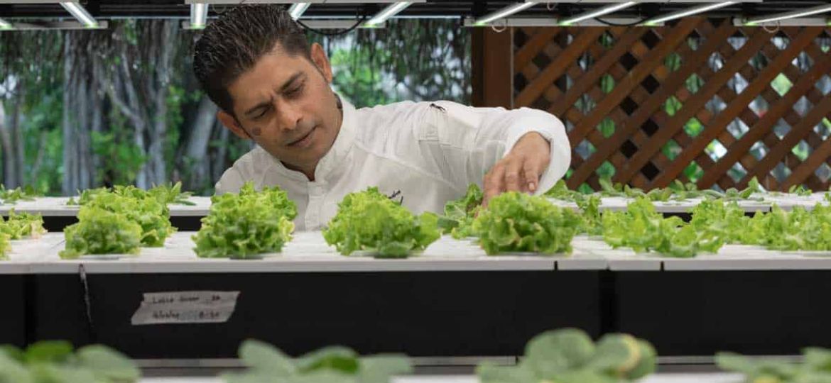 Sustainable luxury in the Maldives