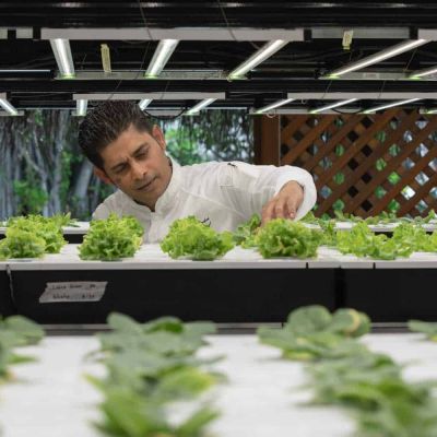 Sustainable luxury in the Maldives