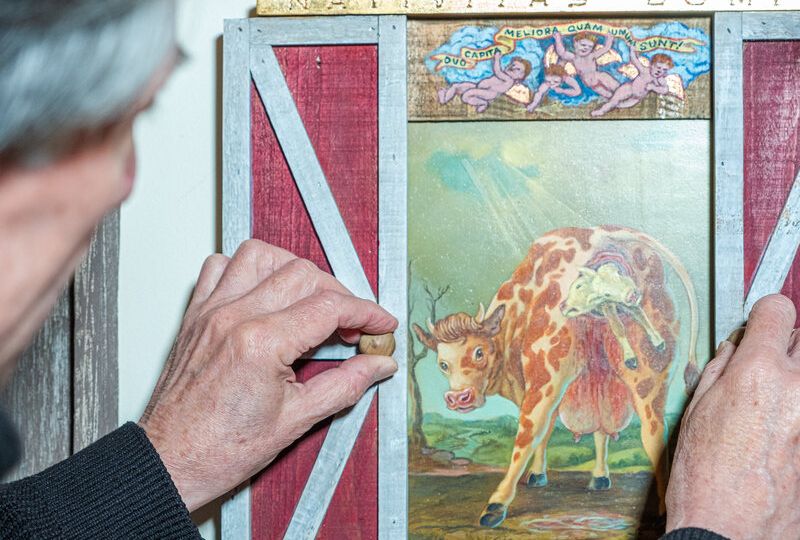 Inside the World’s Largest Two-Headed Calf Collection