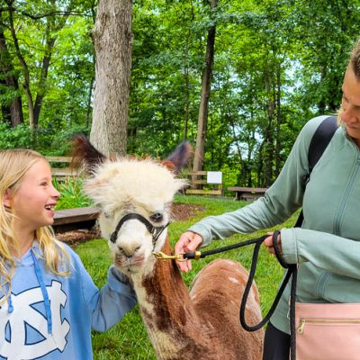 A Visit To Point Of View Alpaca Farm in Virginia (Replacing Stress with Joy)