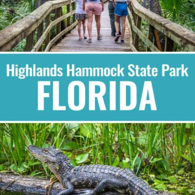 Guide to the Gorgeous Highlands Hammock State Park, Florida
