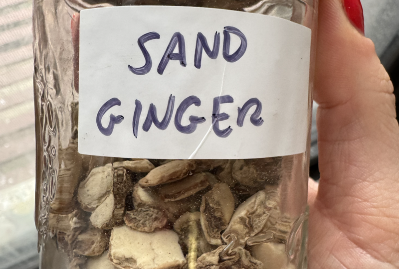 A Guide to the Gingers of the World