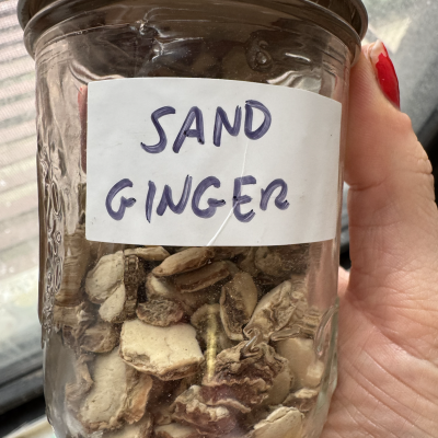 A Guide to the Gingers of the World