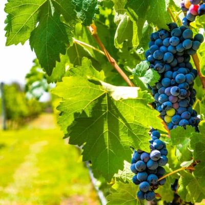 18 Important Things to Know Before Visiting Buenos Aires