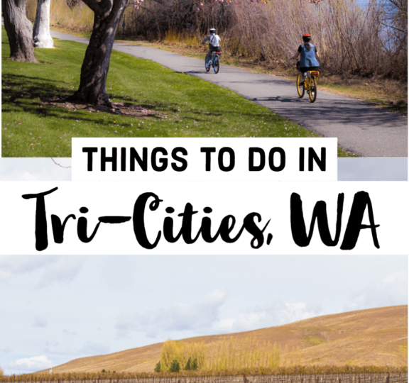 The Top Things to do in Tri Cities: Exploring the Heart of Washington Wine Country