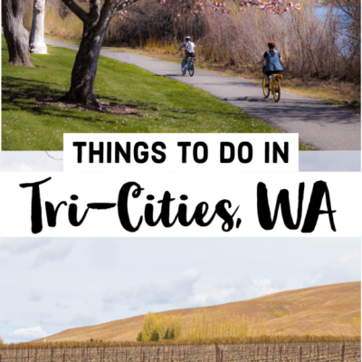 The Top Things to do in Tri Cities: Exploring the Heart of Washington Wine Country