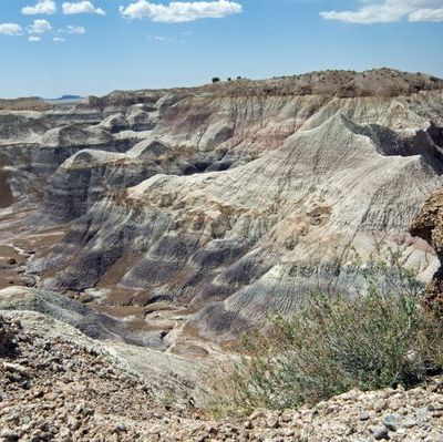 Arizona’s Petrified Forest Is Changing What We Know About the Dawn of the Dinosaurs