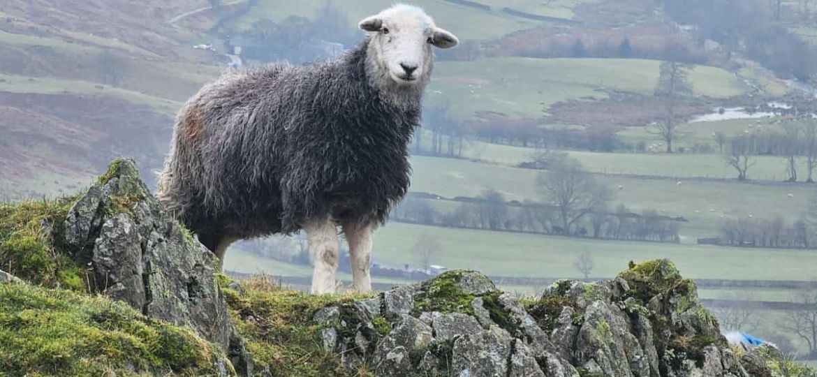 Walking the Wainwrights: Troutbeck Tongue