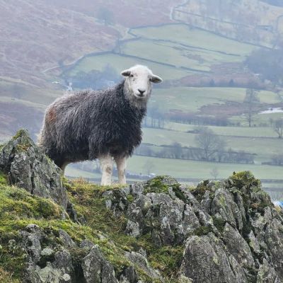 Walking the Wainwrights: Troutbeck Tongue
