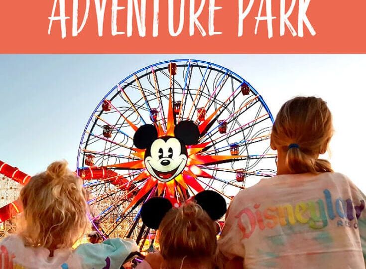 Tips for A Fun Day At Disney California Adventure Park [From An 11 Year Old]