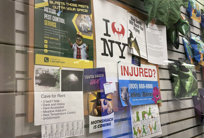 We Visited the Dino Bodega in (Jurassic) Park Slope