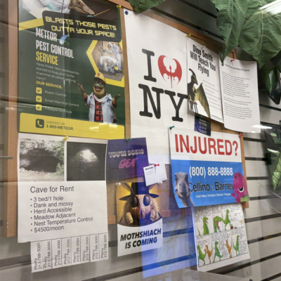 We Visited the Dino Bodega in (Jurassic) Park Slope