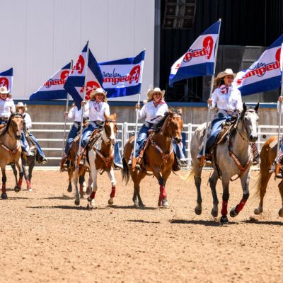 Rodeos, Star Parties, and Festivals: Your Guide to Colorado’s Magical Summer Events