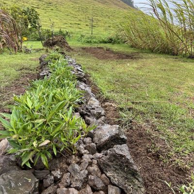 Unearthing the Mysteries of Hawai'i's Ancient Agriculture