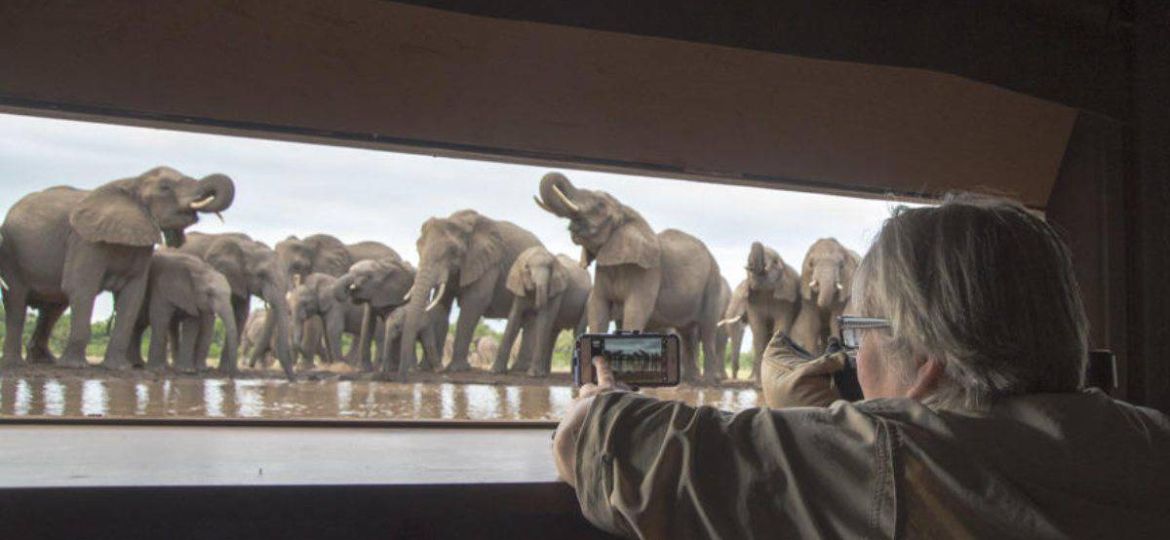 Africa’s fabulous photo hides and hotspots