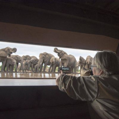 Africa’s fabulous photo hides and hotspots