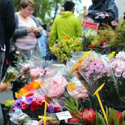 Experiencing Salamanca Market in Hobart, Tasmania
