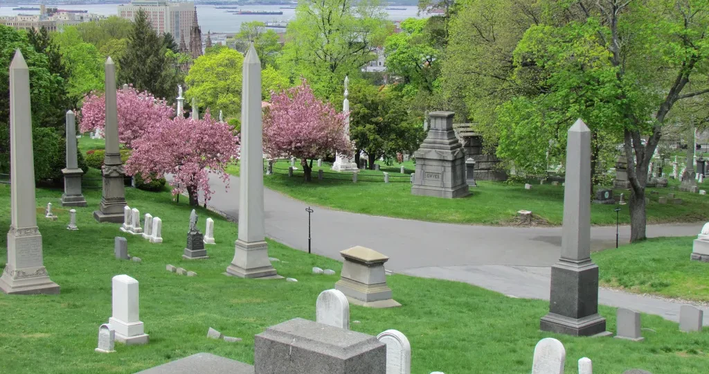 Where Our Team Looked for Joy During Pandemic Lockdowns