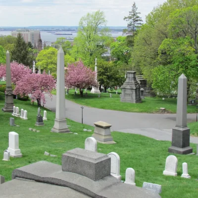 Where Our Team Looked for Joy During Pandemic Lockdowns