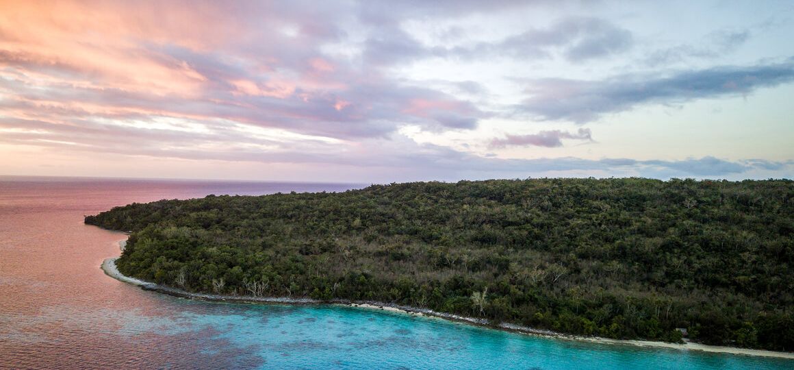 Saving the Sea Cows of Vanuatu