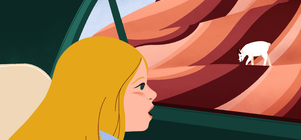 How to Read a Roadcut and Decode the Earth’s History