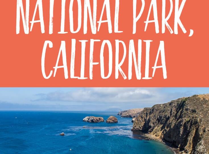 How to visit Channel Islands National Park, Ca & what to do