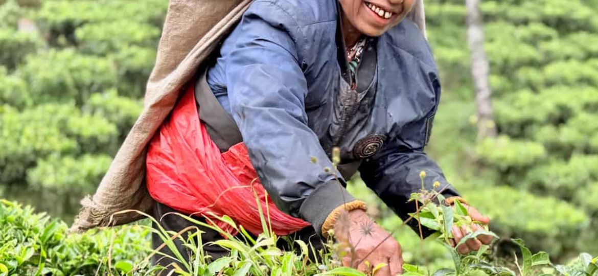 The people of Sri Lanka