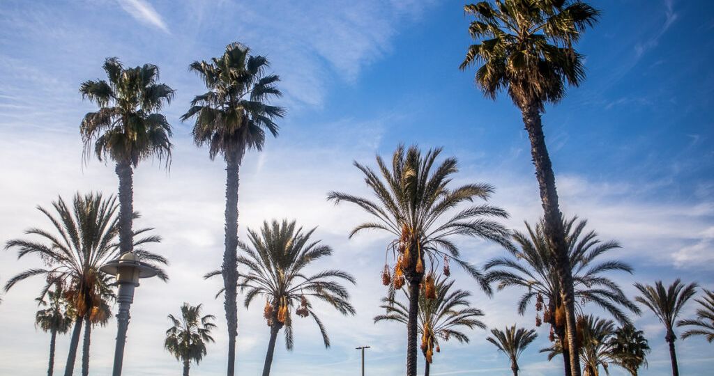 13 Top things to do in Buena Park CA with kids