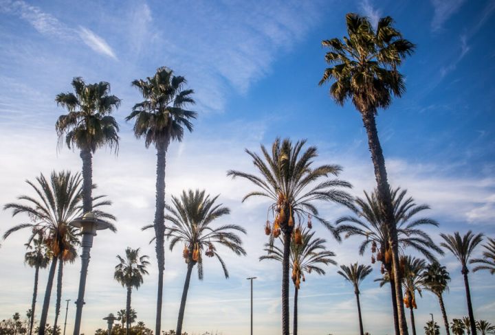 13 Top things to do in Buena Park CA with kids