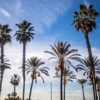 13 Top things to do in Buena Park CA with kids