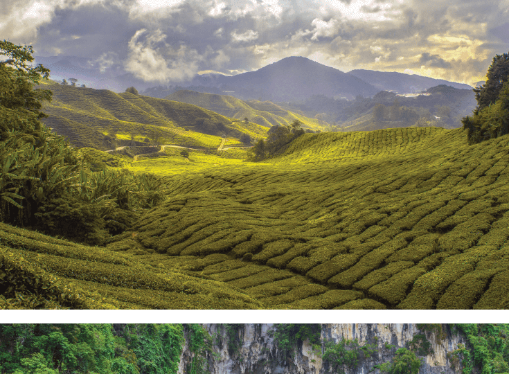 22 Unmissable Things to Do in Kuala Lumpur with Kids