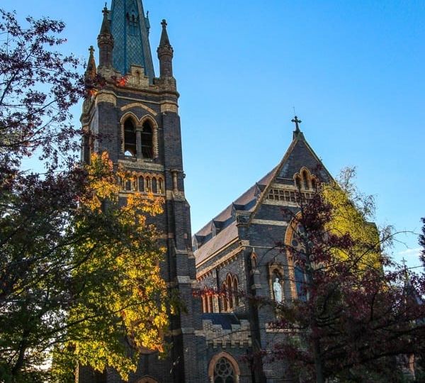 15 Unmissable Things to do in Armidale NSW