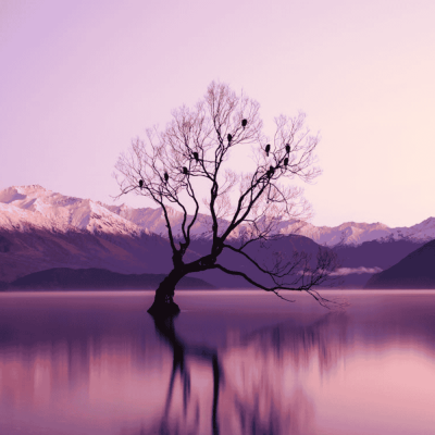 Slow luxury travel: New Zealand’s photography destinations