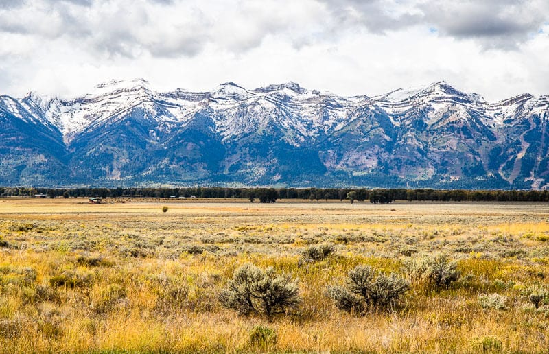 1 Day In Grand Teton NP Itinerary: The UNMISSABLE Things To Do