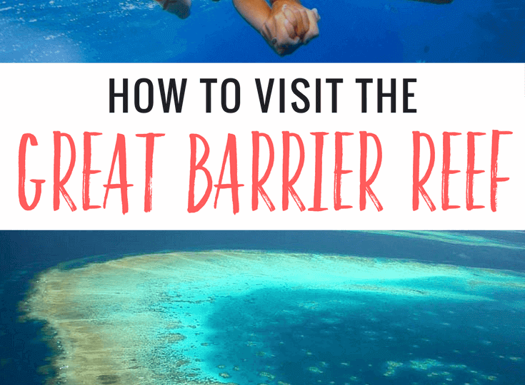 Visiting The Great Barrier Reef From Cairns: The Best Tours