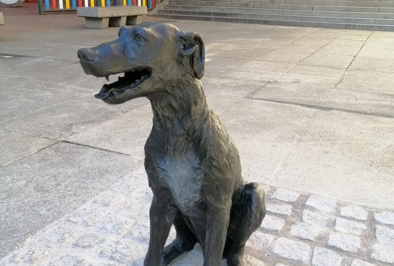 Was Paco the First Celebrity Dog?