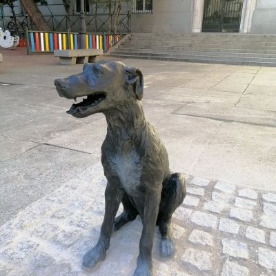 Was Paco the First Celebrity Dog?