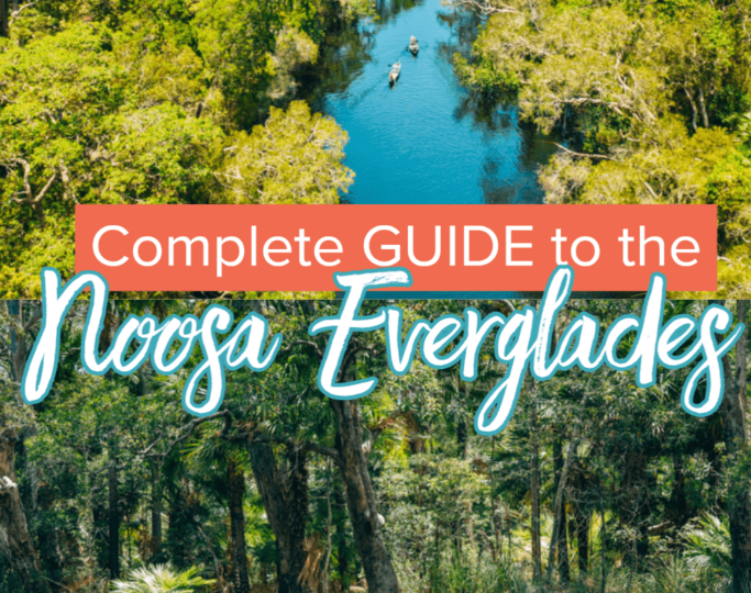 A Complete Guide to the Noosa Everglades: The River of Mirrors