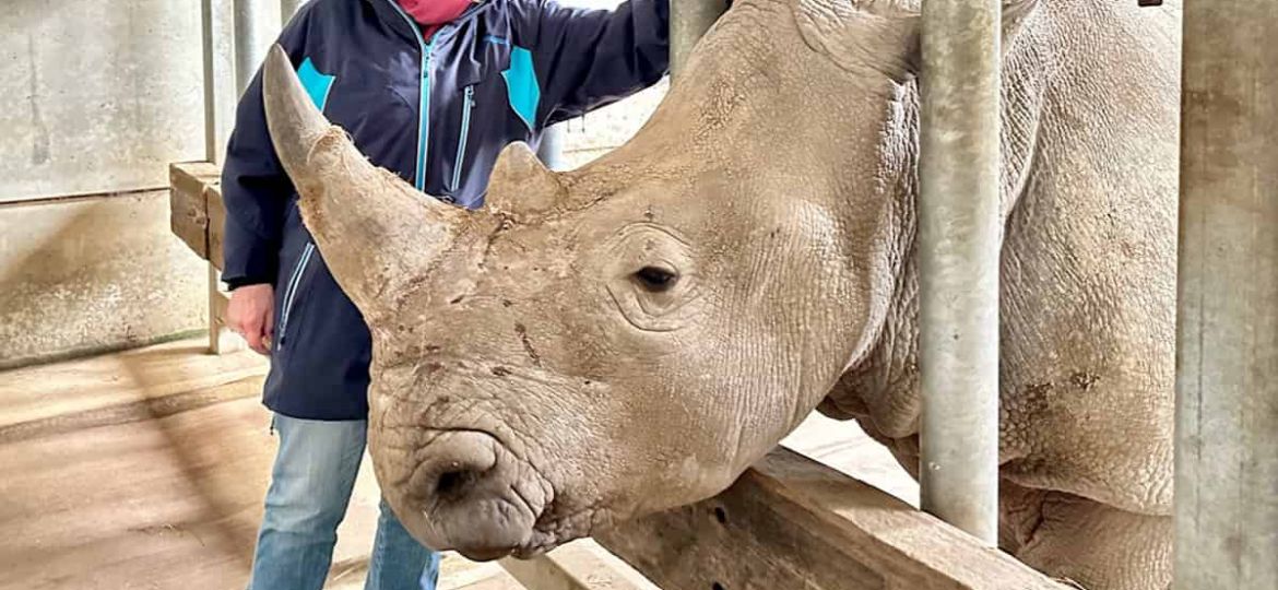 6 wonderful animal experiences in England